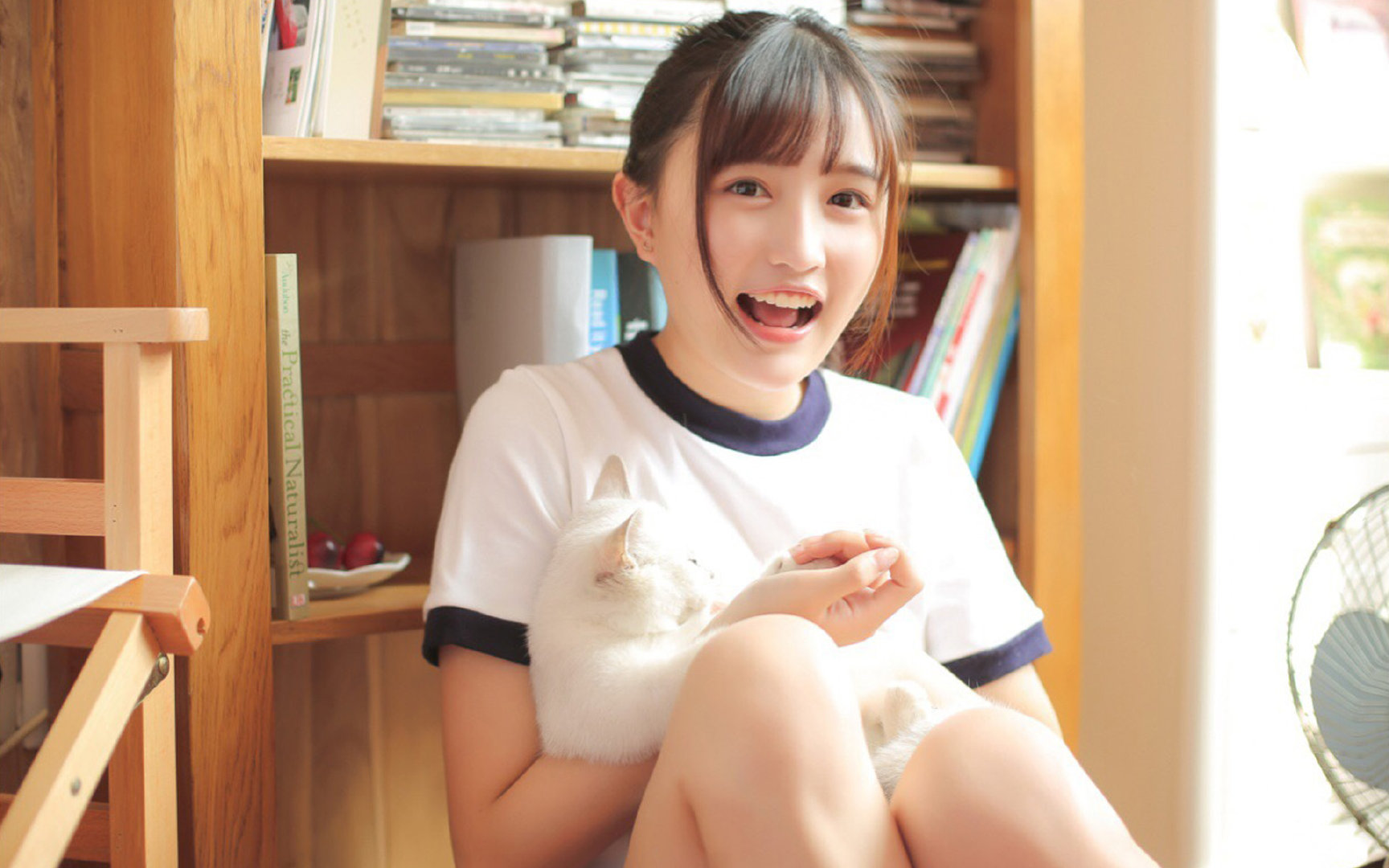 当布鲁诺撕裂静默，曼城如何用窒息式战术肢解墨西哥的足球灵魂